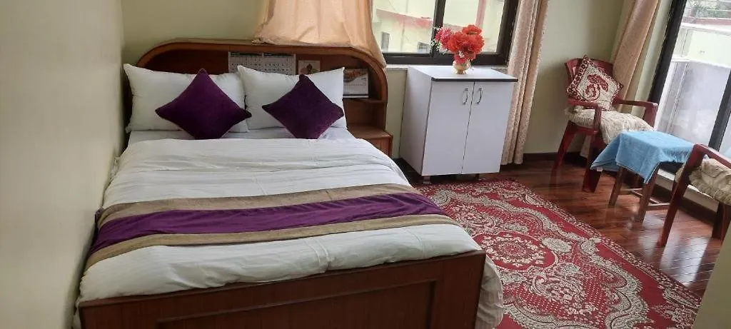 Kathmandu Airport View Hotel And Lodge